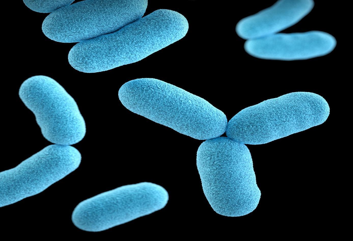E-coli Bacteria's Shocking Transformation: Scientists Harness ...